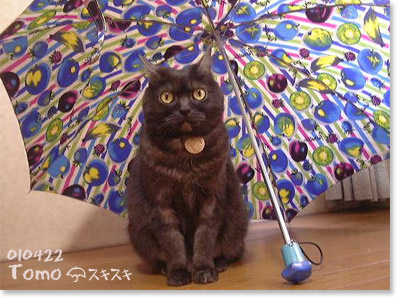 傘の下でチーズ♪