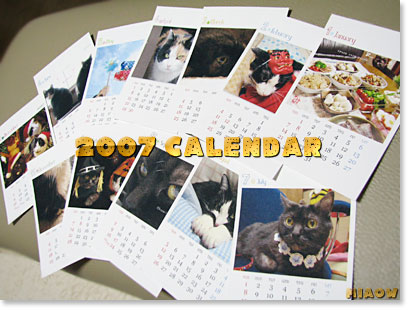 The Cats calendar07